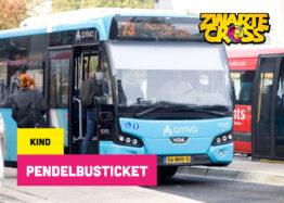 Pendelbusticket kind